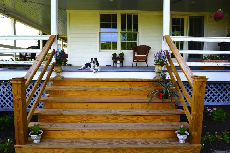 Squeaky Steps Repair in Conroe, TX
